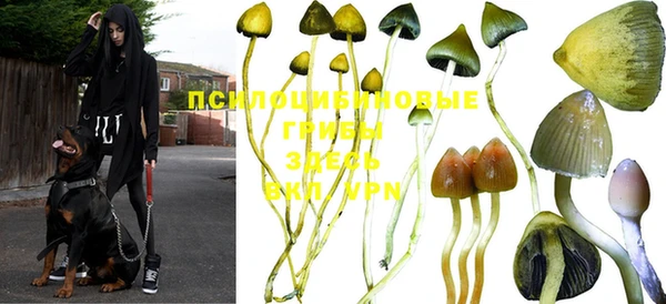 спайс Волосово