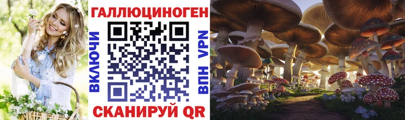 наркота  Волгореченск  Псилоцибиновые грибы мицелий 